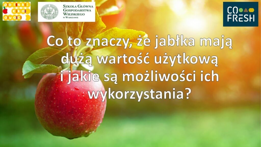 Jakie wartości użytkowe mają jabłka i jak je wykorzystywać _ dr hab. Renata Kazimierczak