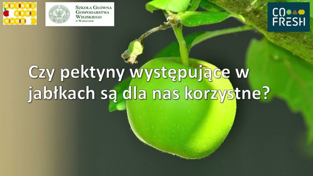 Czy pektyny są ważne? - dr hab. Renata Kazimierczak